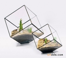 Score+Solder Terrariums