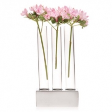 Test Tube Triple Vase