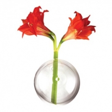 Wall Bubble Vase